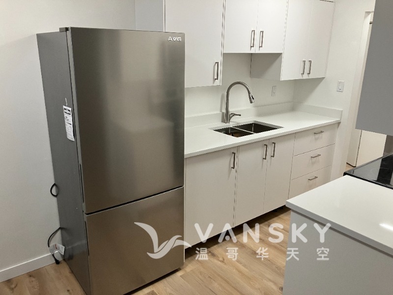 250202115743_Kitchen fridge and sink.jpg